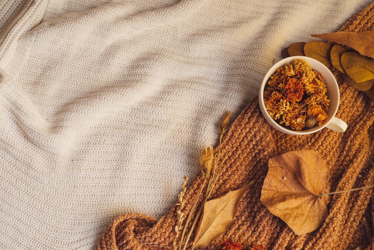 Autumn Botanicals Flatlay on Fabric